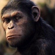 The 2012 Oscar goes to… Caesar the ape