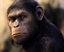 The 2012 Oscar goes to… Caesar the ape